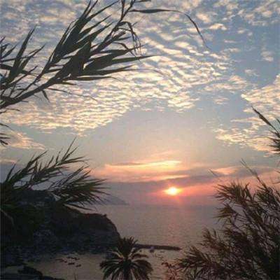 姚洋：AI泡沫破裂是迟早的事，我们要更多关注短期问题