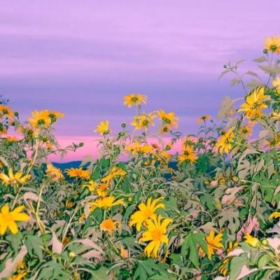 科创综指ETF景顺（589890）涨3.11%，成交额586.83万元