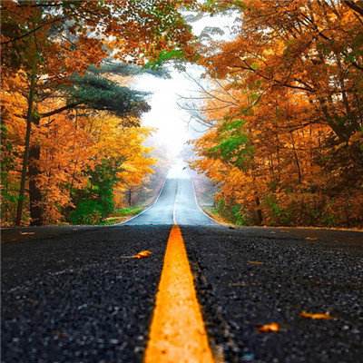 里昂：预计中国电信今年收入继续受压 降目标价至6港元