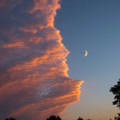 4部台片密集登陆大陆，台媒直呼“相当罕见”