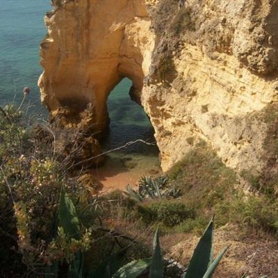 量产机器狼-20℃极寒测试现场曝光