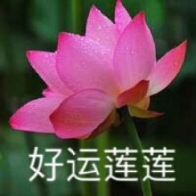 雷速体育娱乐APP/手机APP下载最新版