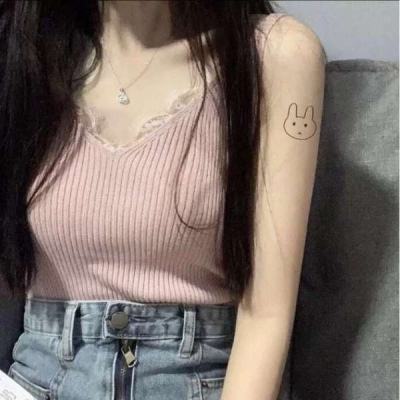 崔永元吸猫甘做“铲屎官” 如此回应“炮轰范冰冰”…